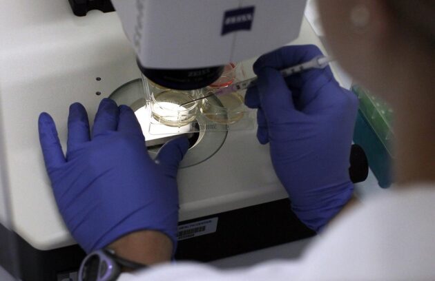 آزمایشگاه ژنتیک نرگس