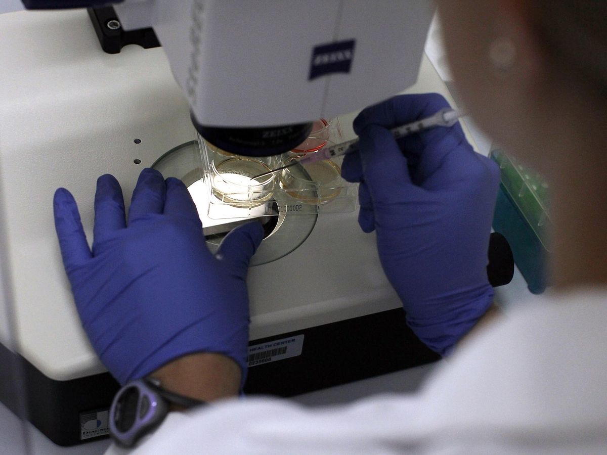 آزمایشگاه ژنتیک نرگس