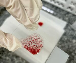 آزمایشگاه ژنتیک نرگس