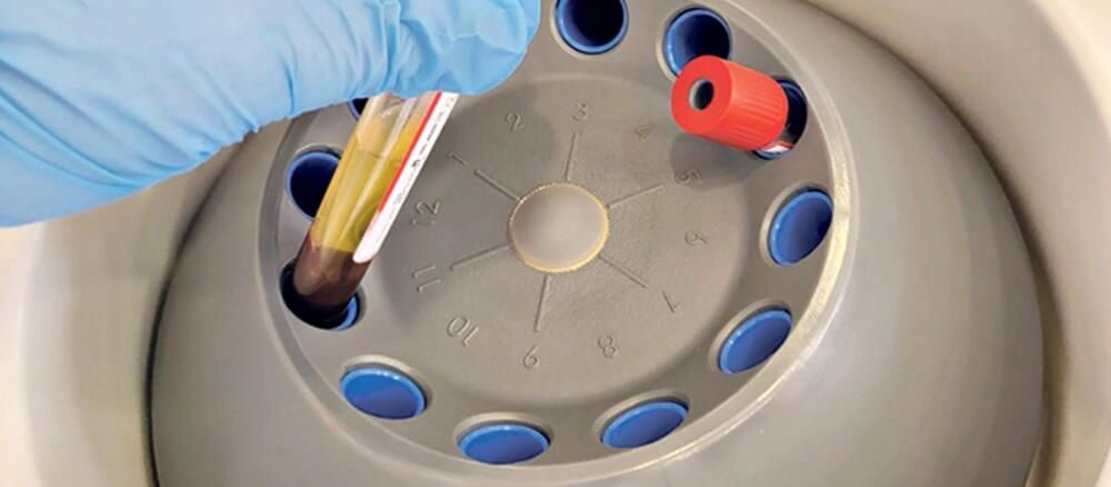 آزمایشگاه تخصصی نرگس