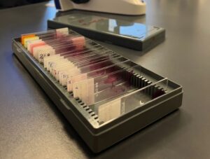 آزمایشگاه تخصصی نرگس