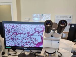 آزمایشگاه تخصصی نرگس